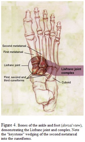 artroza articulațiilor genunchiului cum se tratează osteochondroza articulațiilor mici ale periei
